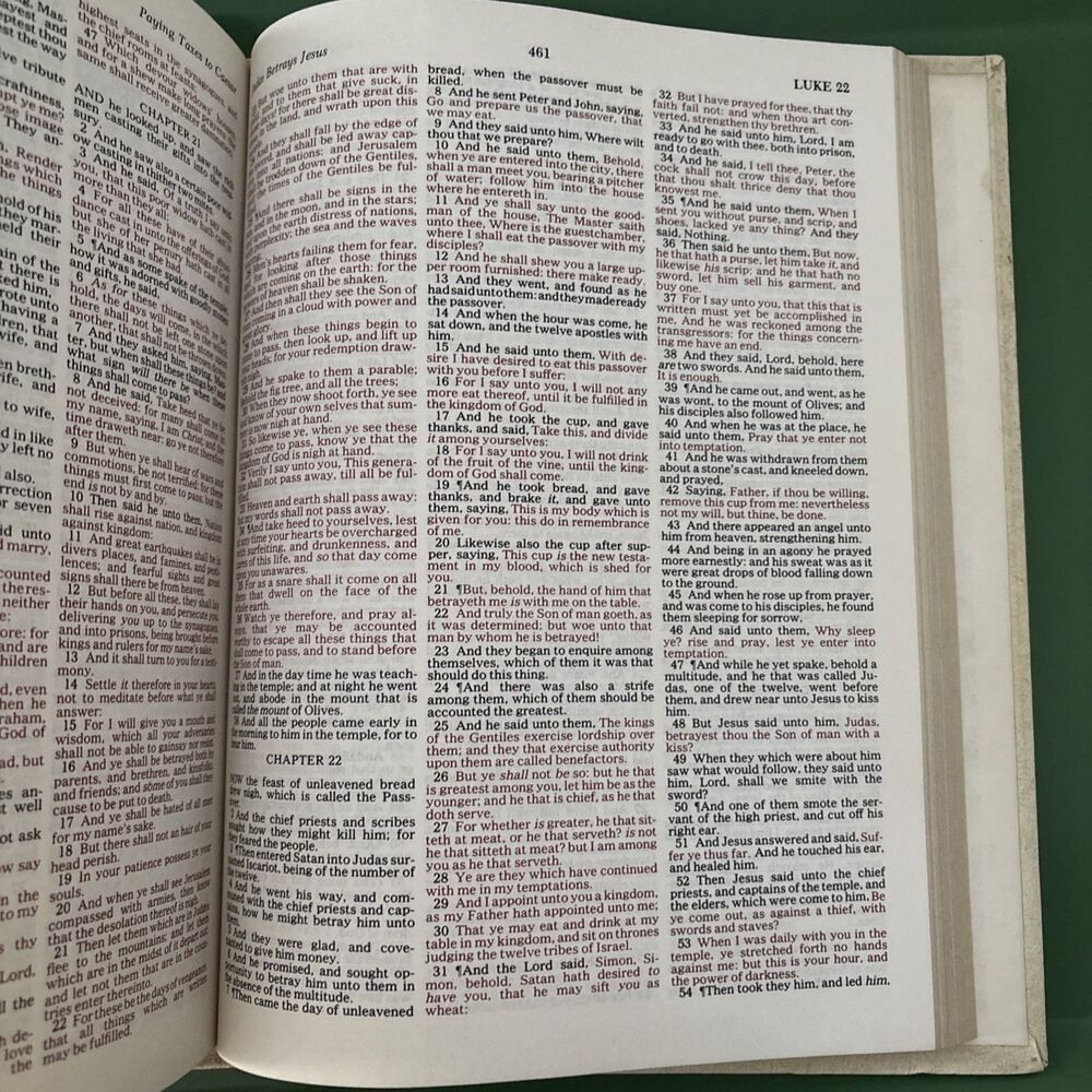 VTG 1978 Large Bible Family Keepsake illustrated KJV words of Christ in Red - Picture 12 of 16